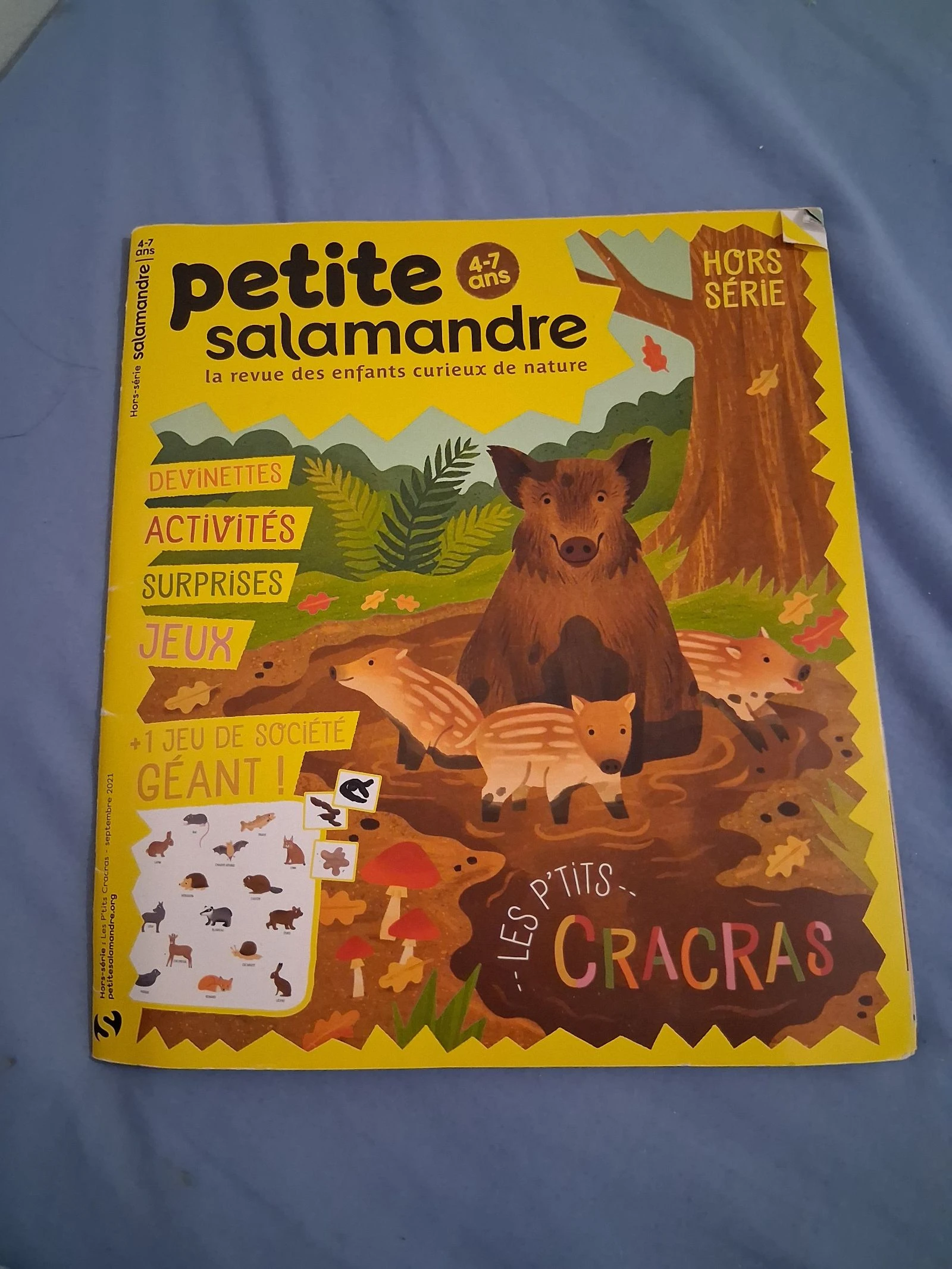Petite Salamandre 